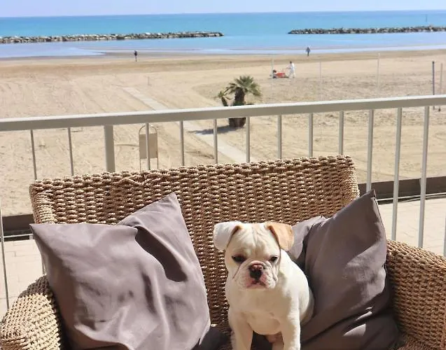 Nautic فندق ريميني